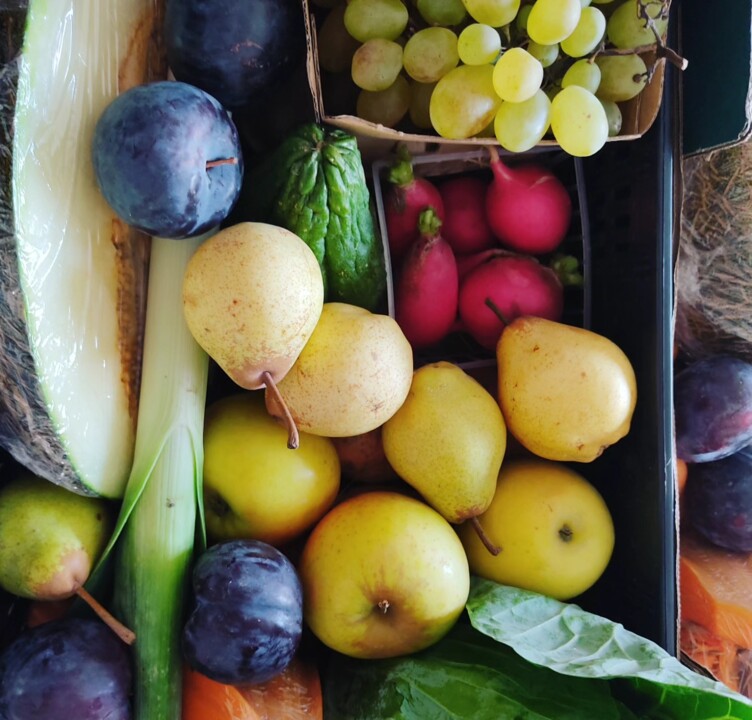 382169942_695918569232223_3908569907239528273_n.jp