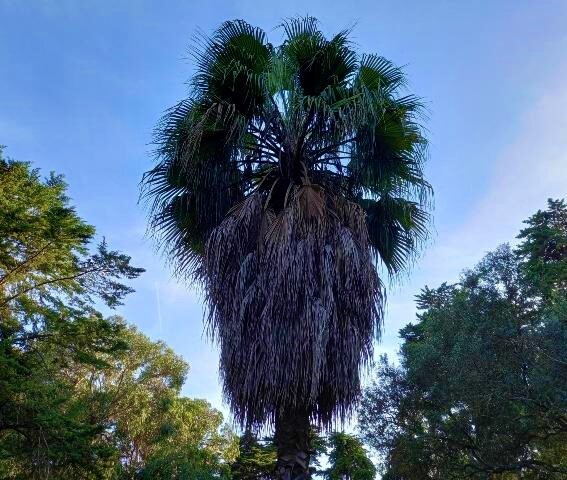 336803918_1271283847117332_3274093002110929797_n.j