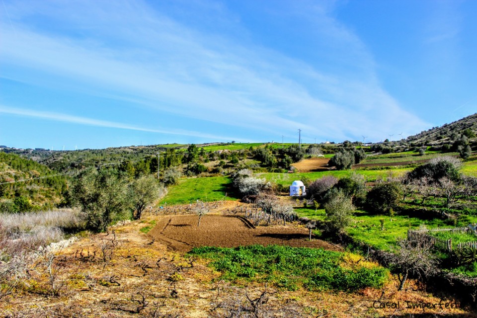 06_02_2022 22_39_40.jpg