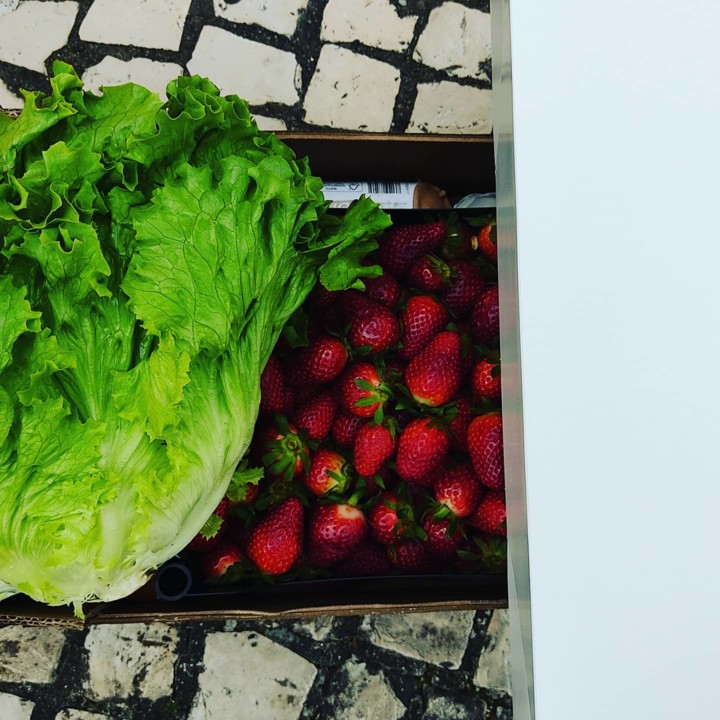 168524922_1988842754588809_5301012279723704067_n.j