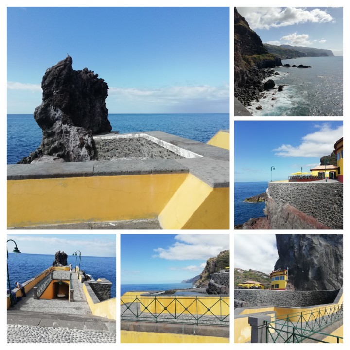 IMG_20210321_104624-COLLAGE.jpg IMG_20210321_104624-COLLAGE.jpg