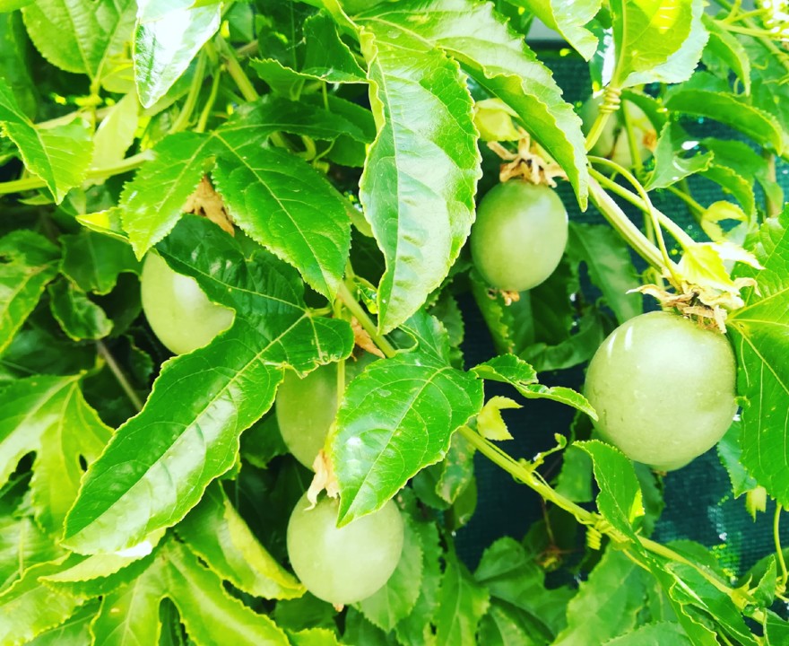 62181009_1386555548150869_8774565031212744704_o.jp 62181009_1386555548150869_8774565031212744704_o.jp