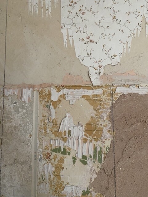 IMG_3440 Medium.jpeg