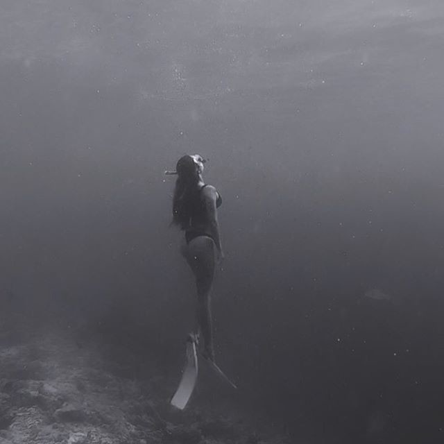 69047933_409431036425922_8398240242408772100_n.jpg 69047933_409431036425922_8398240242408772100_n.jpg