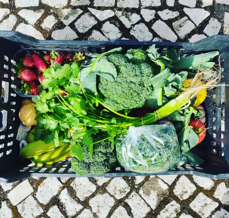 408974376_784511293706283_7241155335369267163_n.jp