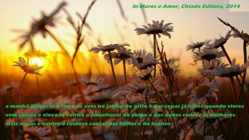 10372931_1487395904839176_1942347531482661011_o.jp