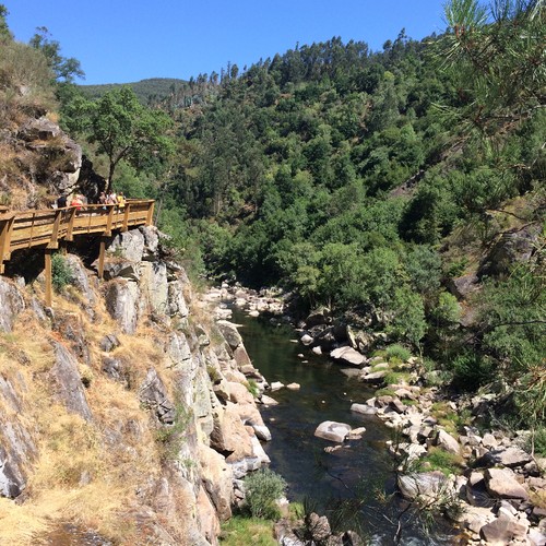 IMG_8577.JPG IMG_8577.JPG