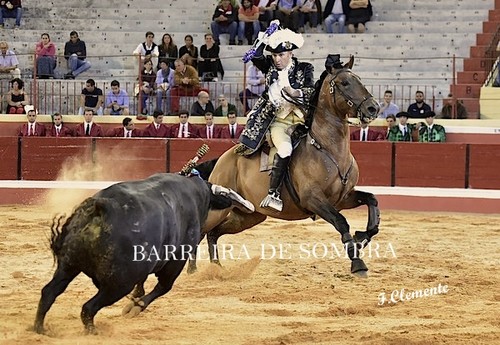 BARREIRA DE SOMBRA02-03-DSC_5164.JPG