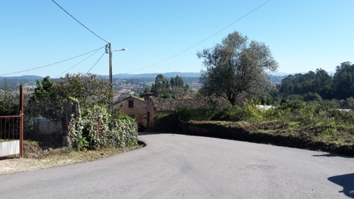 Valongo limpeza Carvalhosa (3).jpg