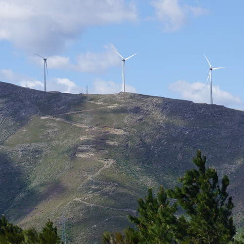 DSC02856.JPG DSC02856.JPG