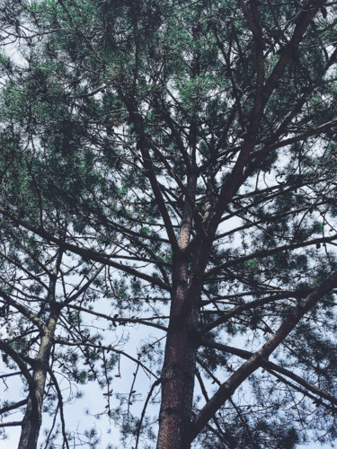 C0BD8D7B-C7B7-424D-A61D-62DD2B85E4EC.JPG C0BD8D7B-C7B7-424D-A61D-62DD2B85E4EC.JPG