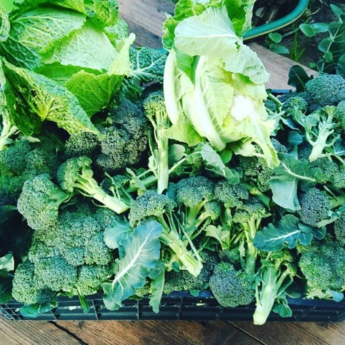 26220163_1022263347913426_3464522738896457538_n.jp