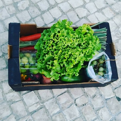 21369096_961263530680075_7139990095666724599_n.jpg 21369096_961263530680075_7139990095666724599_n.jpg