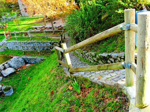 Fotos de Outono !!! 089.jpg