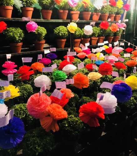 Primeira Casa da Rua (2).jpg