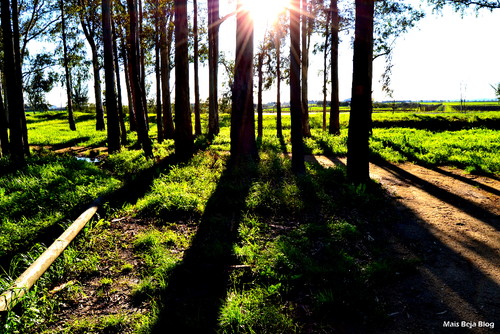 Circuito de manutenção de Beja.jpg