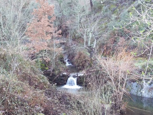 linhares.17.JPG linhares.17.JPG