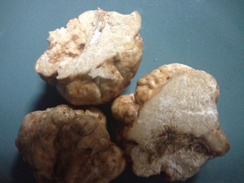 fotografia (2).JPG fotografia (2).JPG