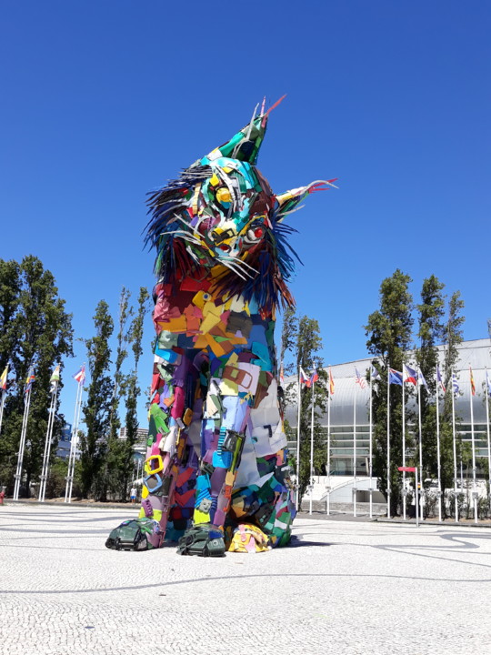 20200823_135803.jpg 20200823_135803.jpg