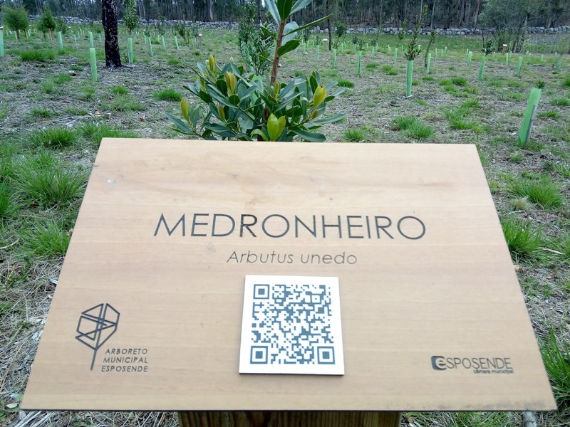 arboreto municipal (3).jpg