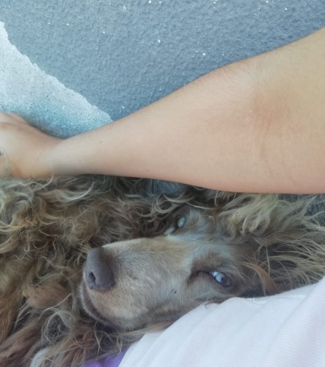 IMG-20190726-WA0019.jpg IMG-20190726-WA0019.jpg