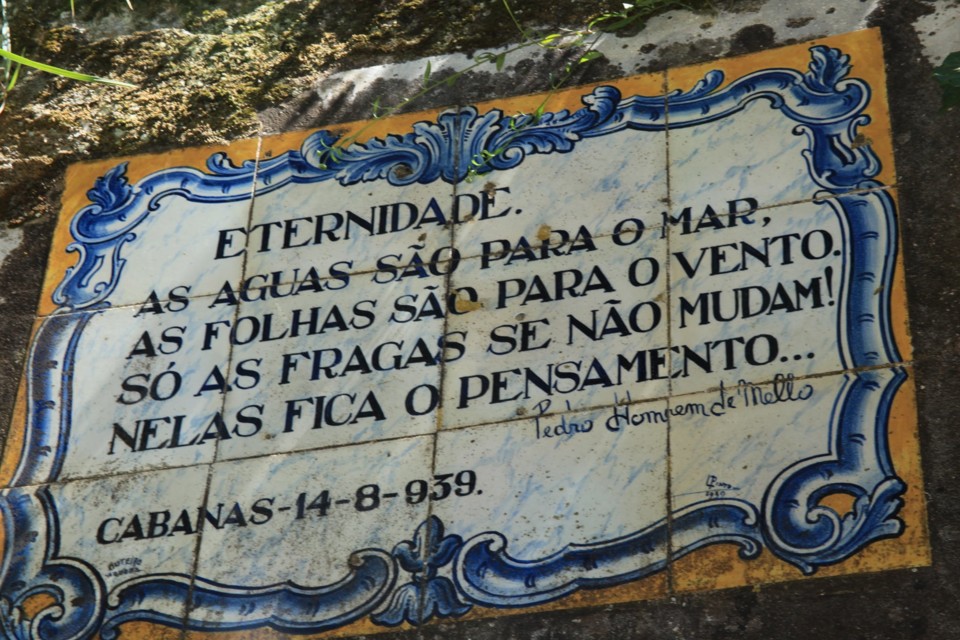 150019595_4129537960409872_372494012226957242_o.jp