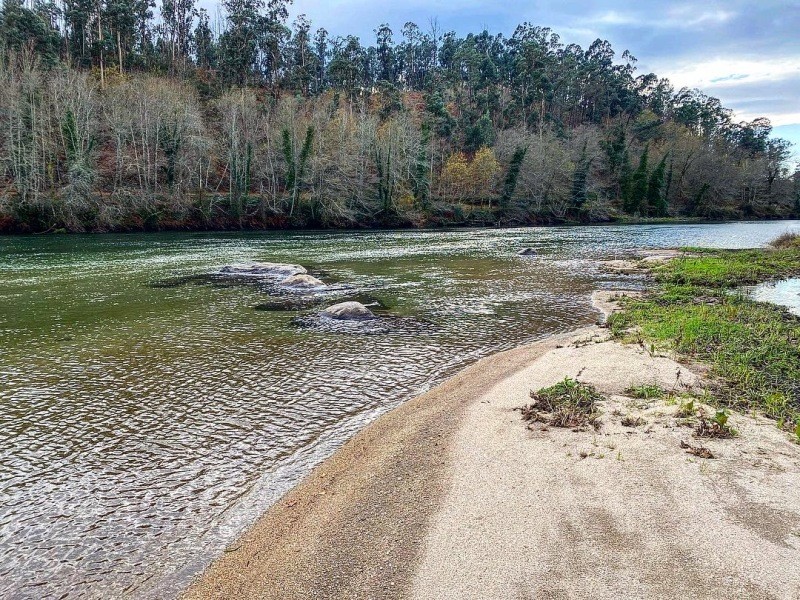 PNPGeresPyrrait (228).jpeg