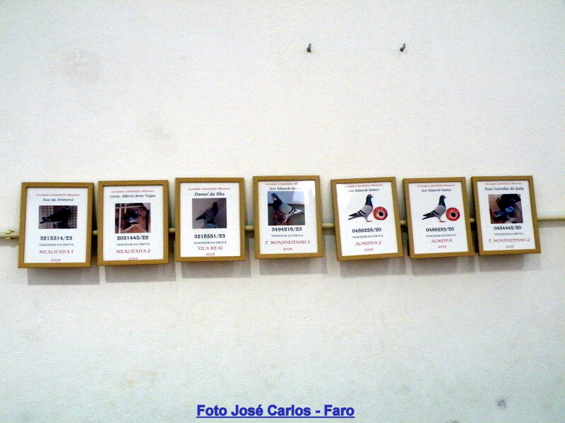 DSCF5011 - Cópia.JPG