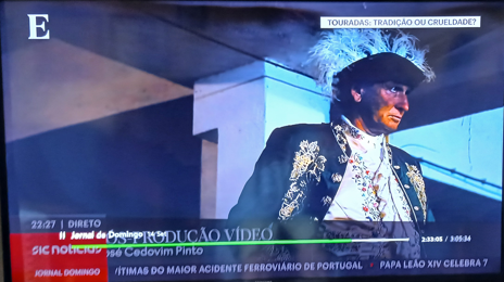 Os Touros estão a pastar nos prados não lhes fal