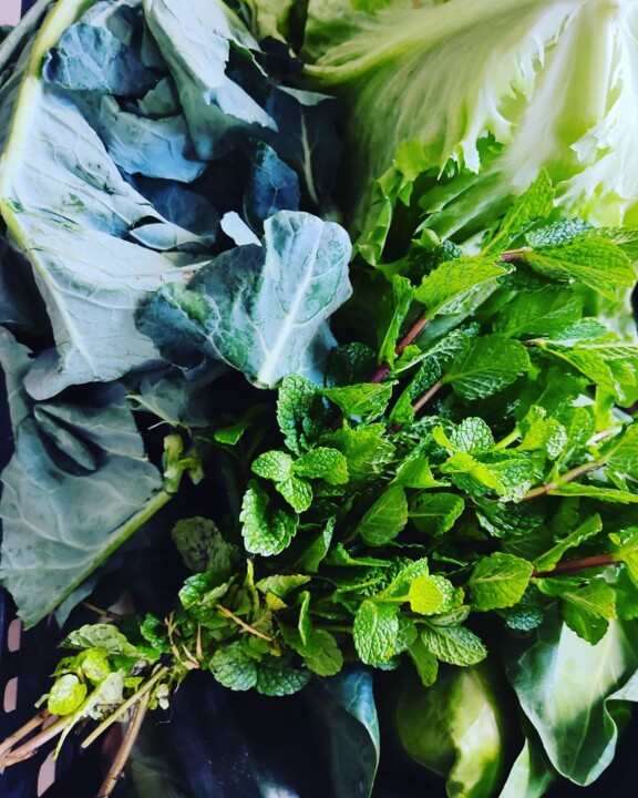 337516041_234828882271834_8668769966449627940_n.jp