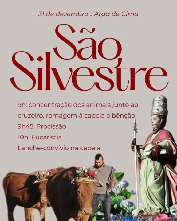 602293912_3395318820635079_1832534214421797255_n.j