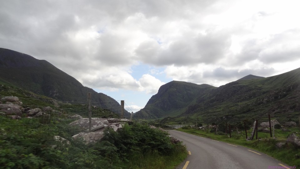 DSC07130.JPG DSC07130.JPG