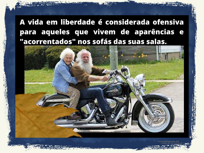 Vida em liberdade.jpg