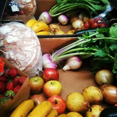 13177124_704685603004537_2202039909635964338_n.jpg 13177124_704685603004537_2202039909635964338_n.jpg