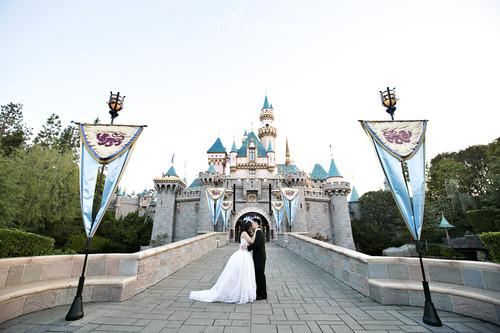Disney_Wedding013.jpg