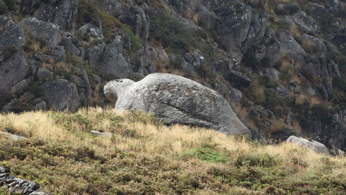 11 Castro Laboreiro.JPG