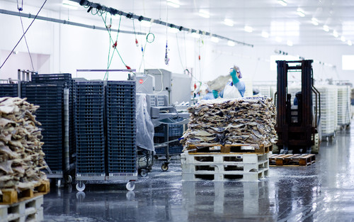 IMG_1155-Edit alt2.jpg