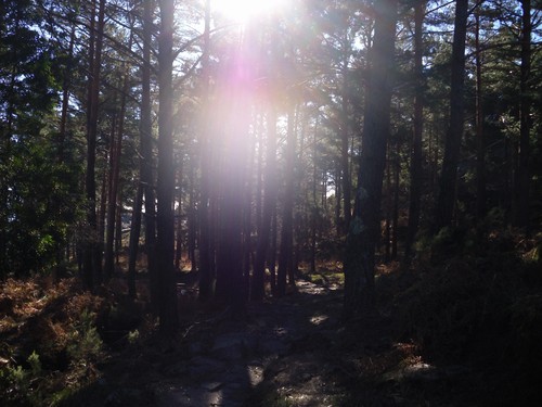 20110122 Trilho dos Currais 016