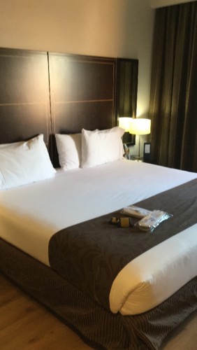 IMG-1650.JPG IMG-1650.JPG