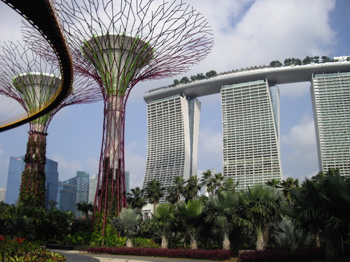 IMGP6453.JPG IMGP6453.JPG