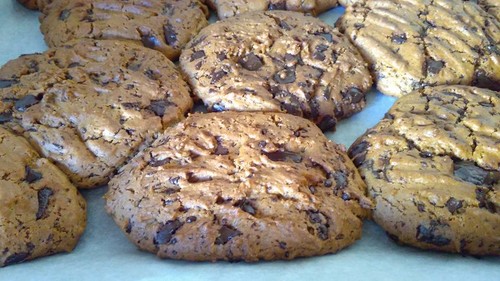 12246867_1169806873046707_2596400197487682699_n.jp