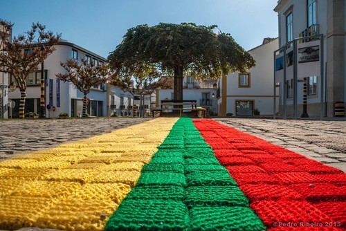 11885206_10153217684716313_7589392590316880893_n[1