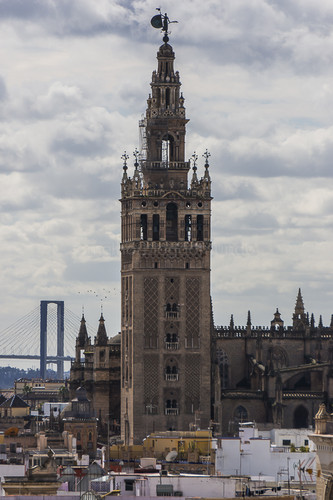 DSC02541.jpg DSC02541.jpg