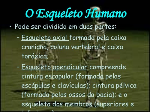 sistema-esqueltico-5-728.jpg