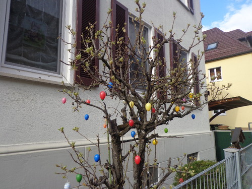 DSC03492.JPG DSC03492.JPG