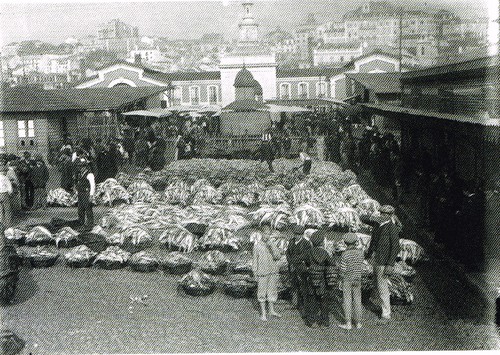 3-O Mercado da Lota, o peixeantes da licitação, 