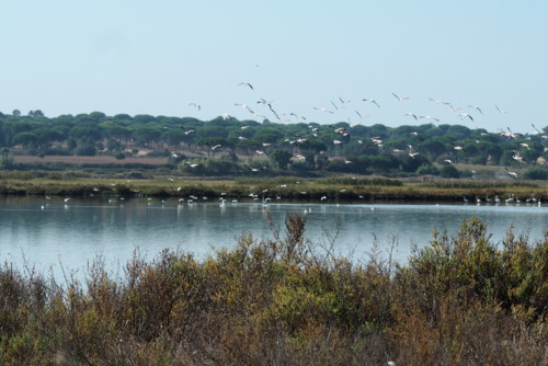 PA050139.JPG PA050139.JPG