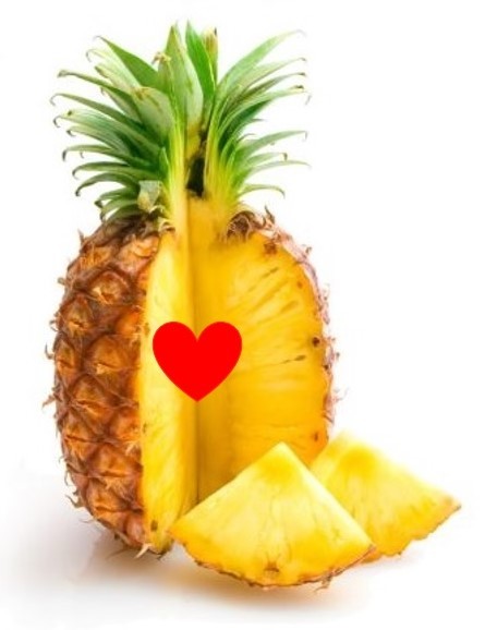 abacaxi do amor.jpg