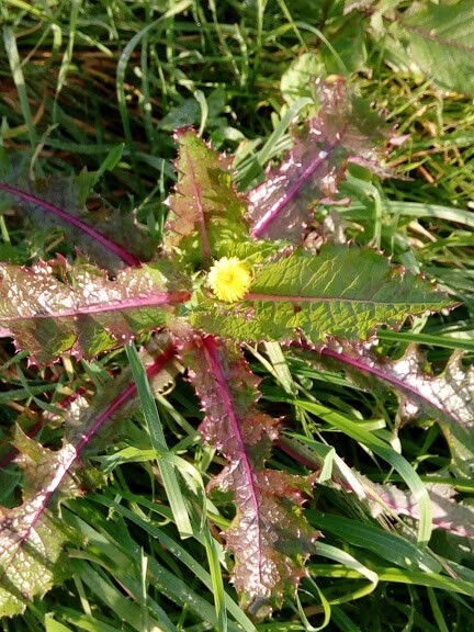 81148792_2806079239423625_2750908230757515264_n.jp