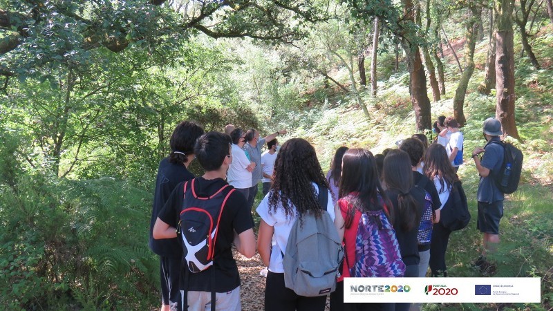 Alto_Minho_Natura_5.jpg Alto_Minho_Natura_5.jpg